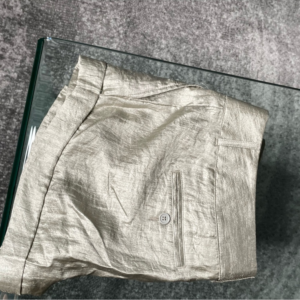 Express Rayon + Nylon Shorts